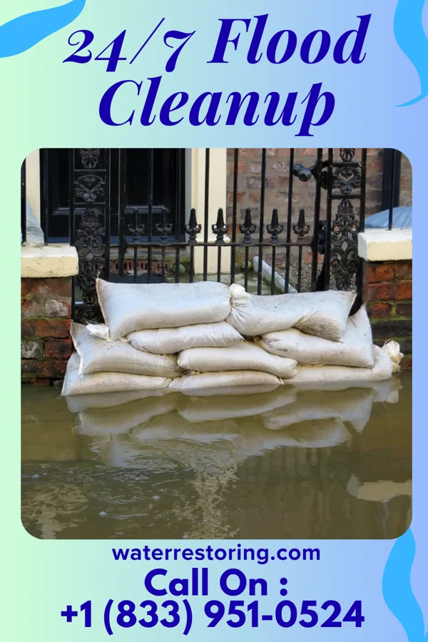 24/7 Flood Cleanup in New Market, VA