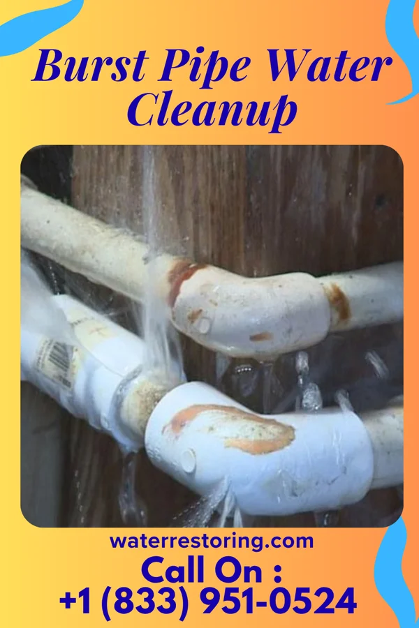 Burst Pipe Water Cleanup in New Market, VA