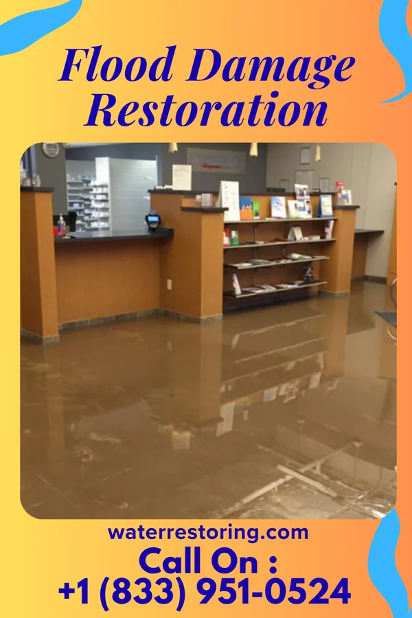 Flood Damage Restoration in New Market, VA